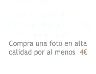  Katmandú, Nepal ¡Haz una donación a su comunidad! Compra una foto en alta calidad por al menos 4€ 